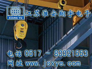 起重限制保護(hù)系統(tǒng)廠家江蘇淮安翔宇電子測(cè)控自動(dòng)化起重機(jī)超載限制器 起重超載限制器保護(hù)系統(tǒng)安全可靠堅(jiān)固耐用 更多起重機(jī)起重限制器就在www.k-9.org.cn 電話0517-83321553