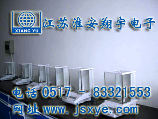 威特藥業(yè)采購(gòu)12臺(tái)江蘇淮安翔宇電子天平廠家高精度分析天平