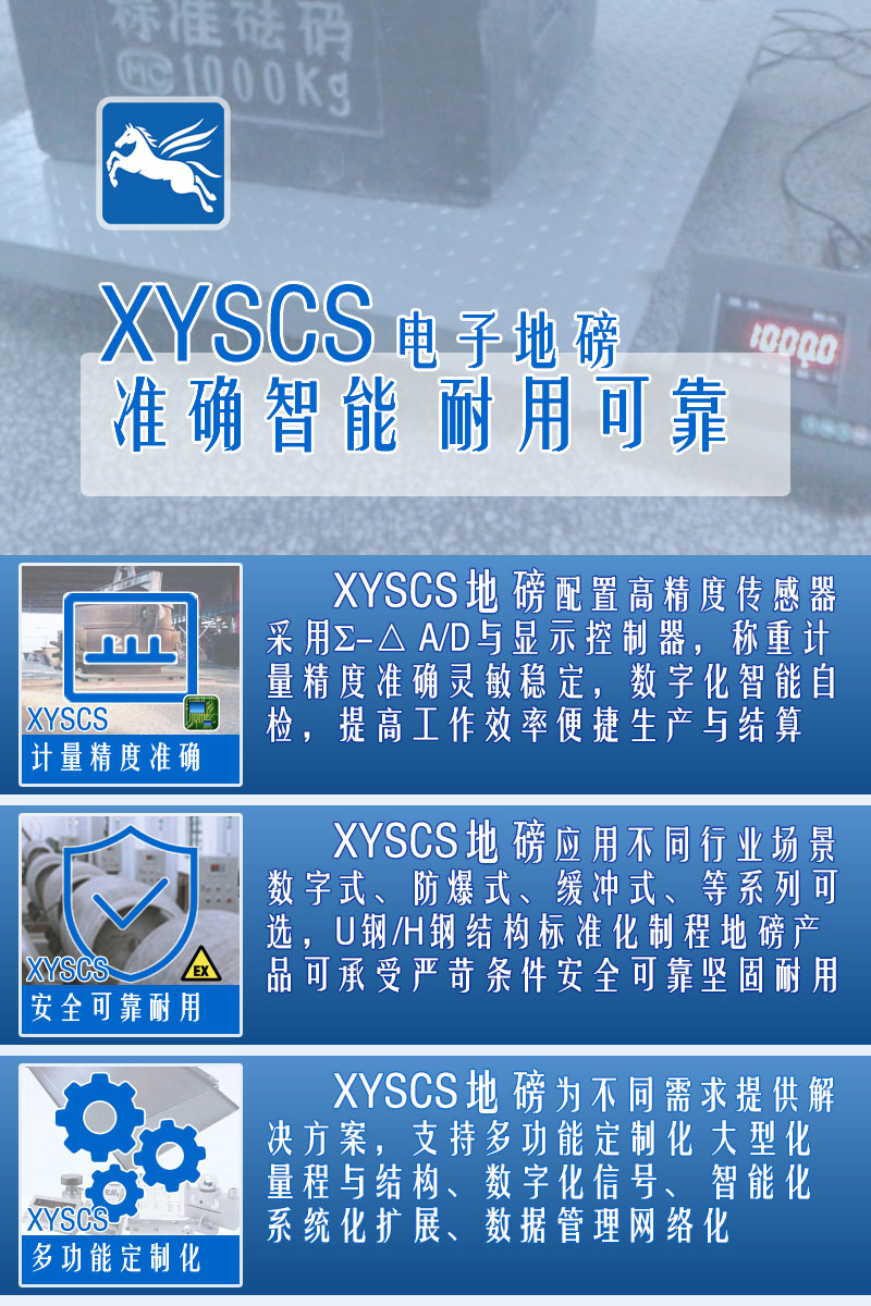 XYSCS 電子地磅 特點